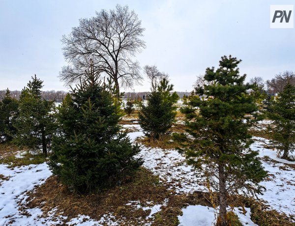 Павлодарда жалпыоблыстық сенбіліктің қашан өтетіні белгілі болды