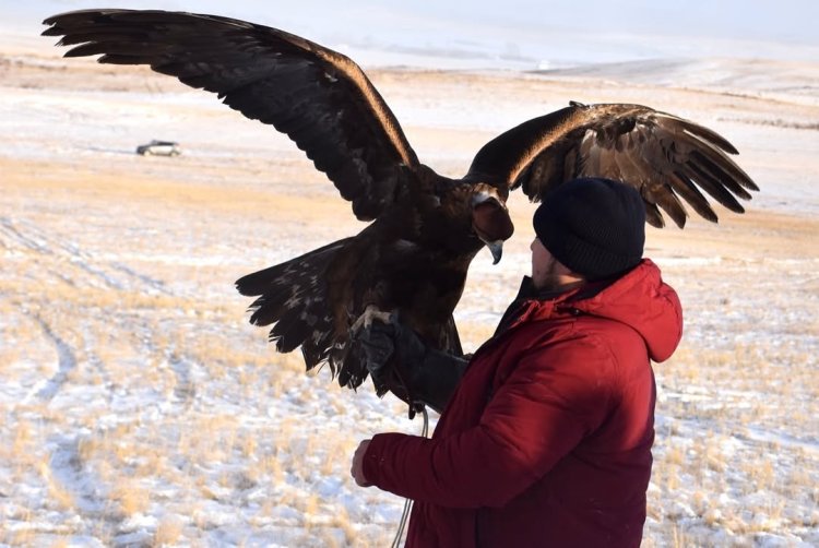 Кусбеги из Павлодарской области взял «бронзу» республиканского турнира
