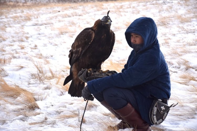 Баянауылда құсбегілік бойынша ұлттық турнир өз мәресіне жетті