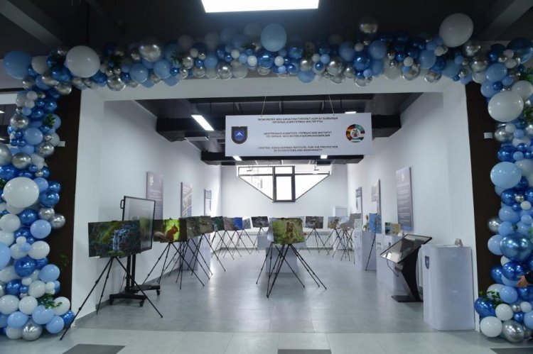 Қазақстандық университетте биоалуантүрлілікті қорғау институты ашылды