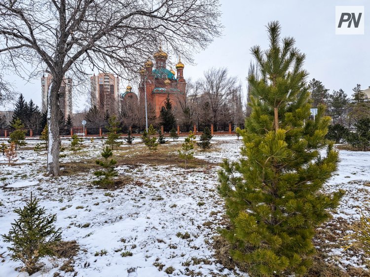 Общественники проверили качество озеленения Павлодарской области