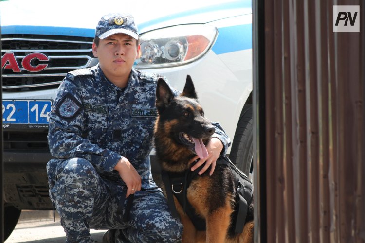 В Павлодарской области ввели цифровую платформу Qyzmet-Police.kz