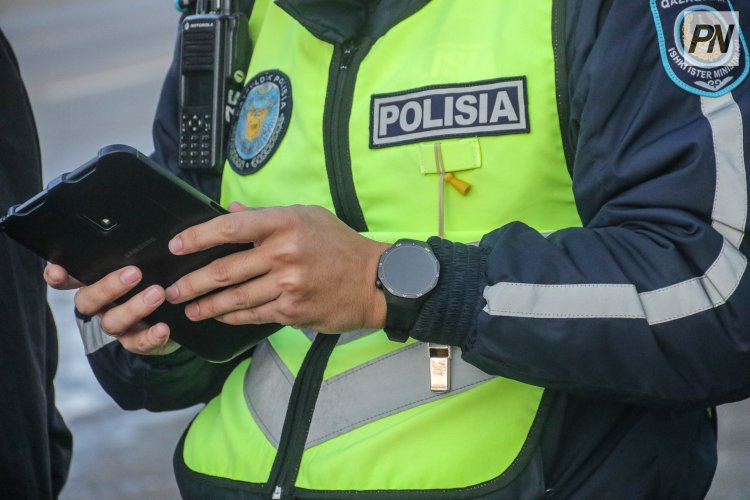 Железин ауданында заңсыз аң аулаған күдіктілер ұсталды