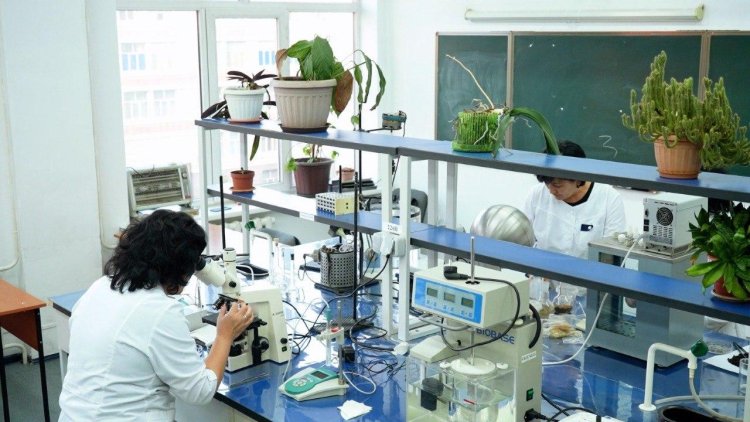 ҚазҰУ ғалымдары тұқымдарды қорғаудың тиімді жолын тапты