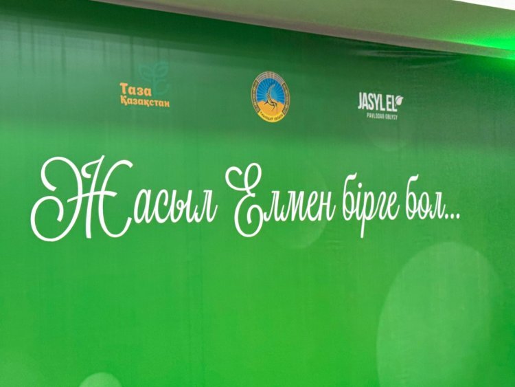 Павлодар облысының «Жасыл ел» штабы республика бойынша ең еңбекқор деп атанды