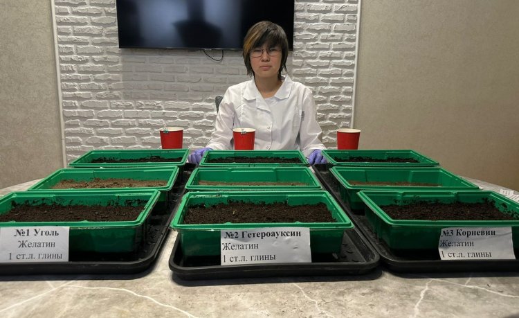 Павлодарская школьница предложила экономичный способ высадки деревьев