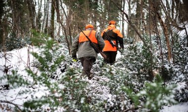 Павлодарлықтарға қыста қандай аңдарды аулауға рұқсат беріледі?