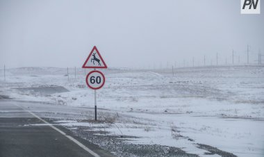 Жаңа жылдық мерекелерде Павлодар облысының жолдары тәулік бойы қадағаланады
