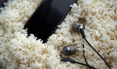 Павлодар тұрғыны колонияға телефонды палауға жасырып өткізбек болды