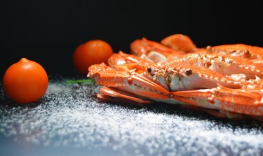 В Великобритании задумались о чувствах крабов и лобстеров