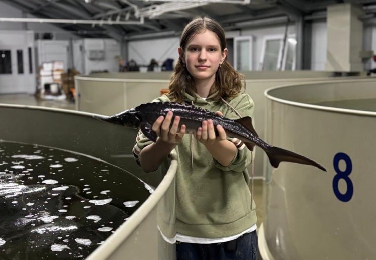 Павлодарлық оқушылар Ертісте бекіре балығын көбейтуге көмектесіп жүр