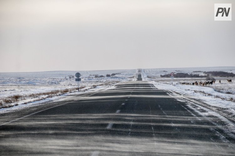 На павлодарских трассах временно ограничат движение