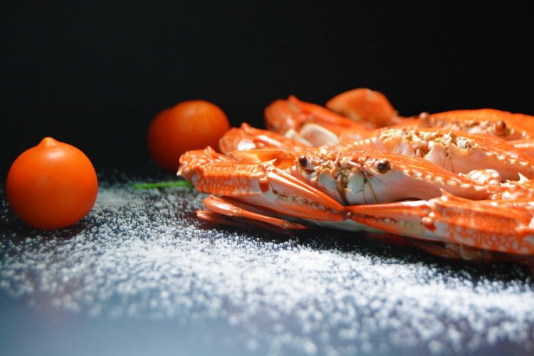 В Великобритании задумались о чувствах крабов и лобстеров