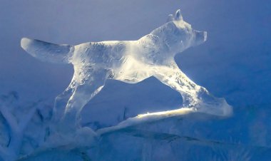 В Китае сотворили ледяную сказку