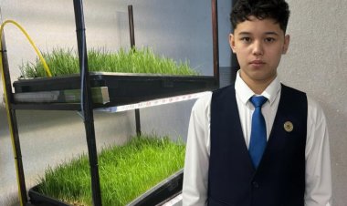 Несколько экологических проектов разрабатывает школьник из Иртышска