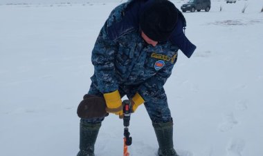 Павлодар облысында балықтардың қырылуына қарсы акция басталды