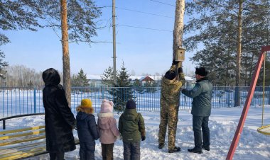 Гайд от лесников Павлодара: как смастерить скворечник и подарить заботу пернатым