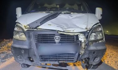 Аққулы ауданында жол апатынан жаяу жүргінші қаза тапты