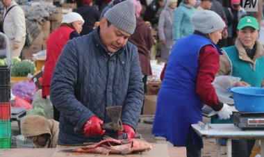 Павлодар облысында ауыл шаруашылығы жәрмеңкесі өтеді