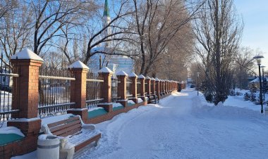 Небольшой снег ожидают в Павлодарской области 3 февраля