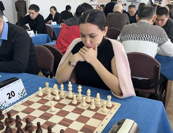 Павлодарских госслужащих пересадили с онлайн на офлайн шахматные доски