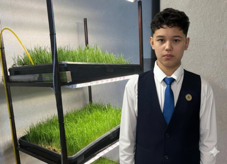 Несколько экологических проектов разрабатывает школьник из Иртышска