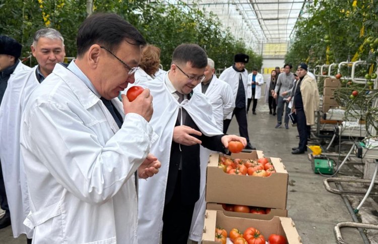 Депутаты посетили предприятия Экибастуза