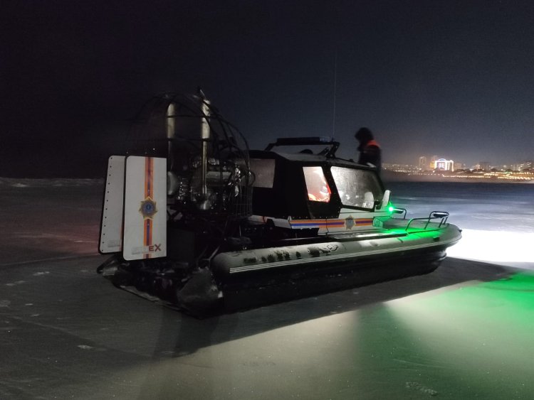 Павлодарлық орманшылар тұманда жоғалған аққуды іздеуде