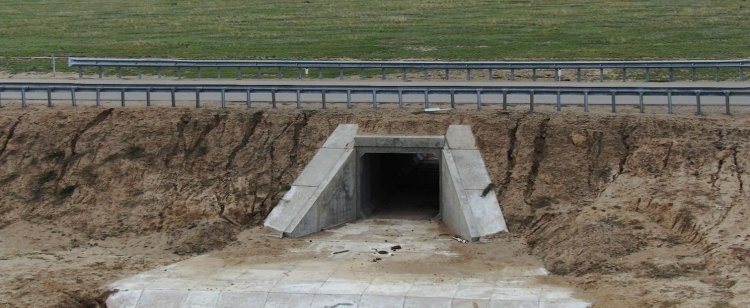 Павлодар облысында су тасқынына төтеп беретін арнайы техника алынды