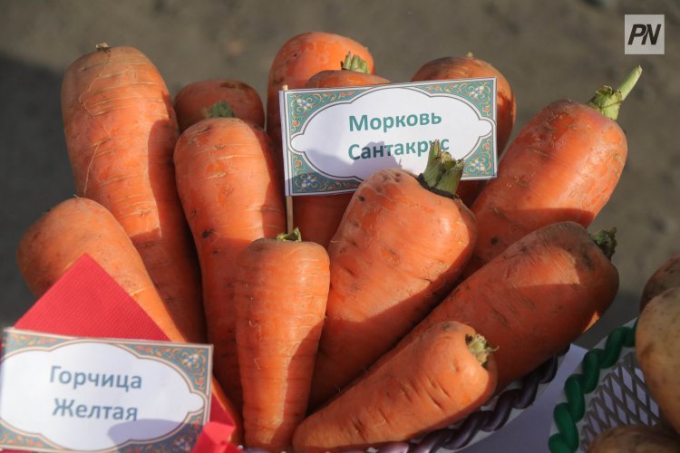 Павлодарда ауыл шаруашылығының дәстүрлі жәрмеңкесі өтпейді