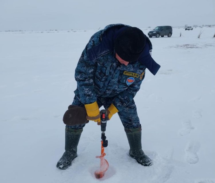 Павлодар облысында балықтардың қырылуына қарсы акция басталды