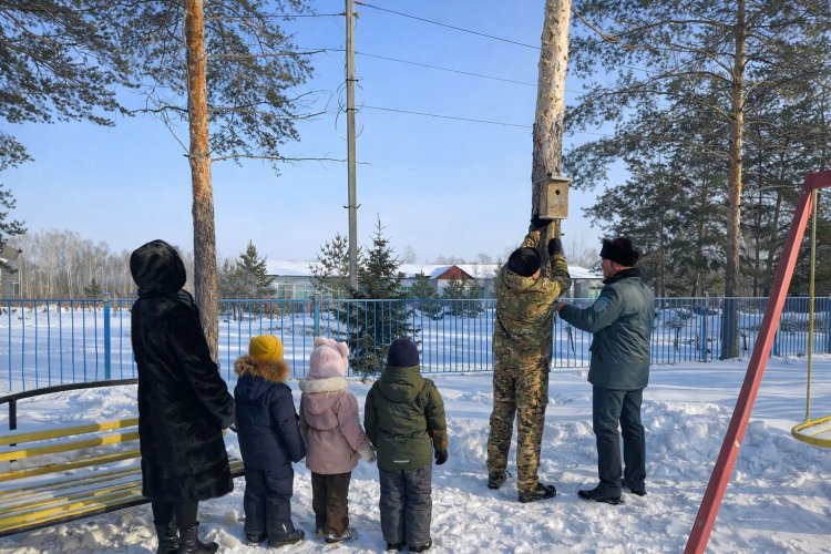 Құсқа – үйшік, балаға – тәрбие: Павлодарлық орманшылардың қамқорлығы