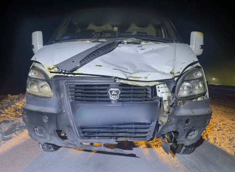 Аққулы ауданында жол апатынан жаяу жүргінші қаза тапты