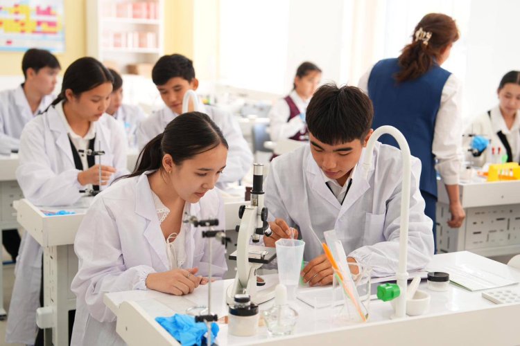 Елде бір миллионнан астам ауыл оқушылары үшін оқу жағдайлары жақсарды