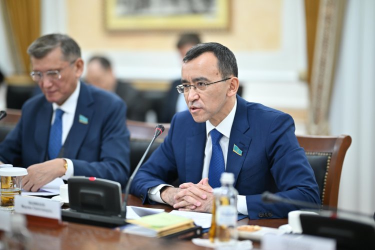 В Сенате обсудили новую Конституционную модель Справедливого Казахстана