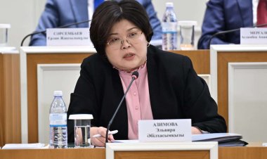 Конституция закрепляет стратегические положения – Эльвира Азимова