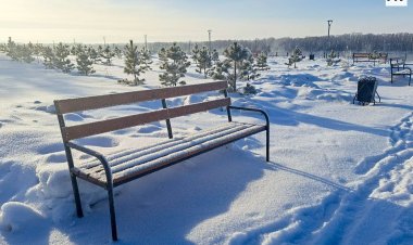 Небольшой снег ожидают в Павлодарской области 12 февраля