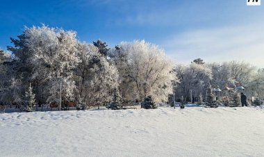 Снег и метель: погода в Павлодарской области 23 февраля