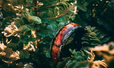 Житель США нашёл кольцо спустя полвека