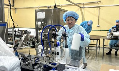 Павлодарлық компания дезинфекция нарығында қалай сенімді серіктеске айналды?