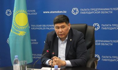 Павлодарский эксперт высоко оценил поддержку бизнеса в новой Конституции
