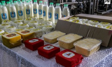 Успенде сүт зауыты жылына жүз тоннадан астам сүт өңдейді