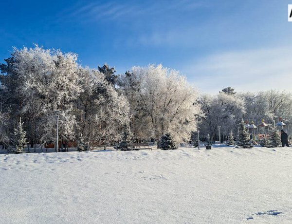 Небольшой снег ожидают в Павлодарской области 28 февраля