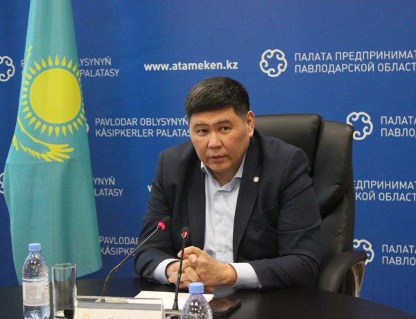 Павлодарский эксперт высоко оценил поддержку бизнеса в новой Конституции