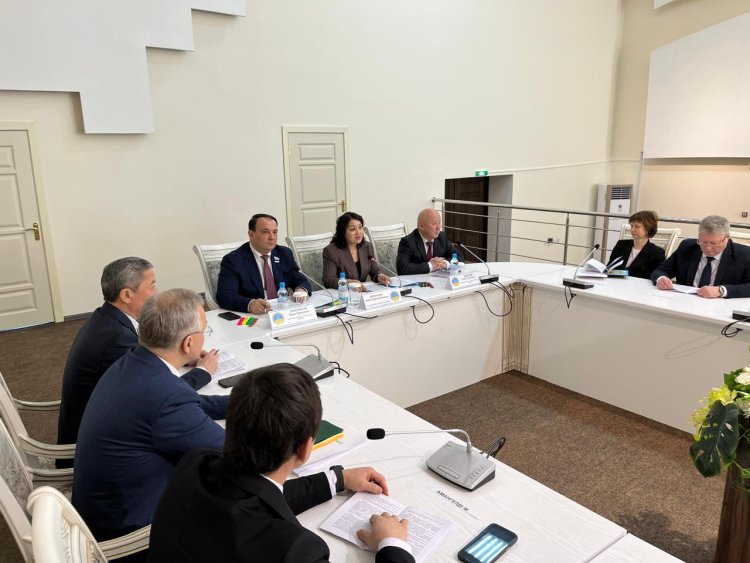 Проект новой Конституции Казахстана – что говорят эксперты