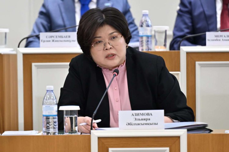 Конституция закрепляет стратегические положения – Эльвира Азимова