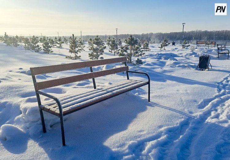 Небольшой снег ожидают в Павлодарской области 12 февраля
