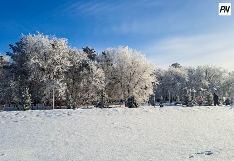 Снег и метель: погода в Павлодарской области 23 февраля