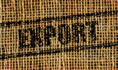 Павлодар облысында жаңа экспорттаушыларды қолдау тетігі талқыланды