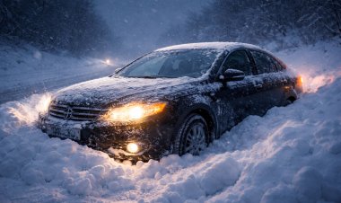 Павлодар облысында қар құрсауынан жиырмадан астам адам құтқарылды